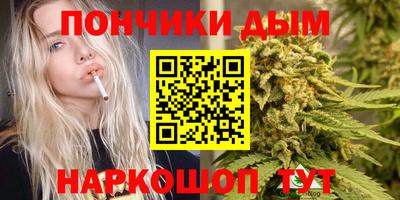 шишки Будённовск