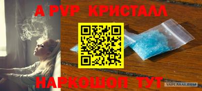 шишки Будённовск
