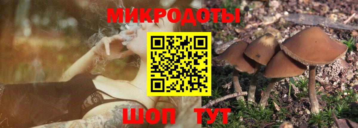 Миасс  Псилоцибиновые грибы прущие грибы  Вход с VPN 